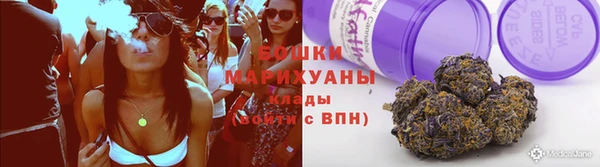 МДПВ Бронницы