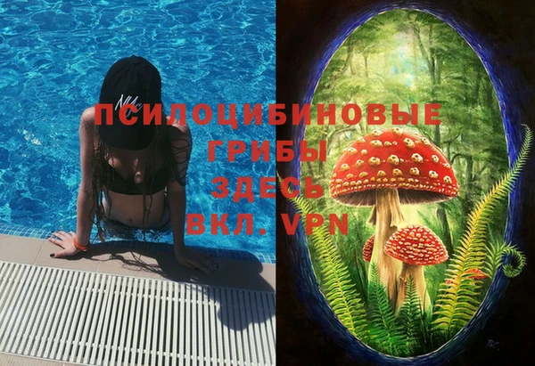 МДПВ Бронницы